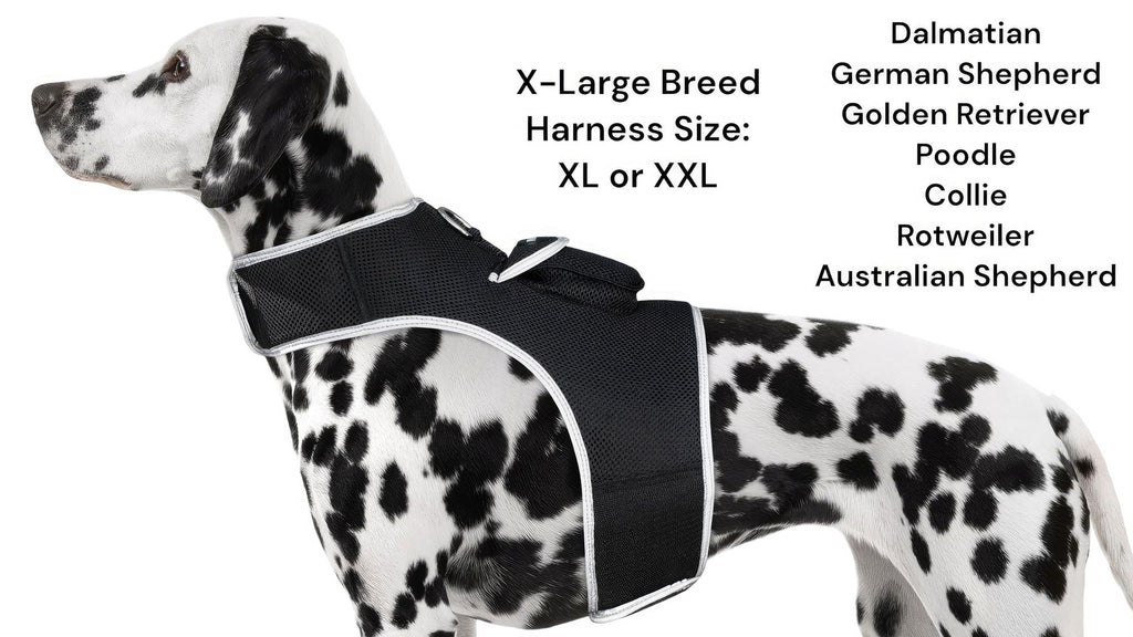 535912031